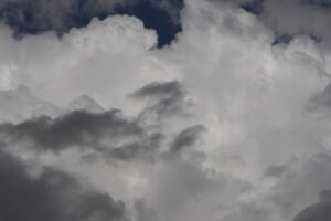 How Oxygen Diffuses From Lungs to Bloodstream in the Human Respiratory System