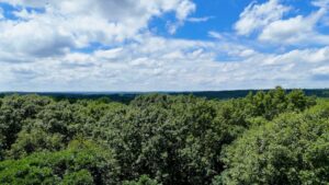 The Role of Oxygen in the Formation of Ozone and Atmospheric Chemistry